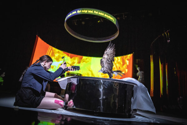 Pigmalion – Teatr Polski w Poznaniu 12